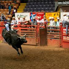 Fort Worth Stock Show And Rodeo Tickets Seatgeek