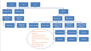 Org Structure Casestudy A Technology Company Middle