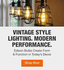 Edison Bulbs Light Bulbs The Home Depot