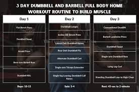 barbell full body home workout