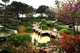 Things To Do In Monaco Japanese Garden