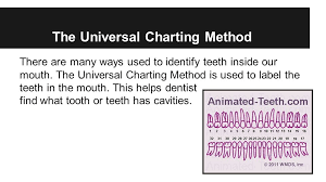 Identifying Teeth Using The Universal Numbering System
