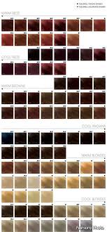 Aveda Hair Color Swatches 2014 2015 More Purple Red