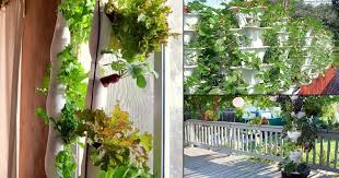16 Diy Hydroponic Vertical Garden Ideas
