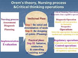 Meleis  Nursing Theories Evaluation  integrative review Historical development of concept mapping in nursing  Adapted from     Novakian Concept Mapping in University
