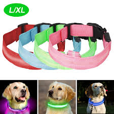 Eeekit Led Dog Collar Glow In The Dark Led Pet Collar Light Up Collars For Small Medium Large Dogs Available In 6 Colors 2 Size Makes Your Dog Visible Safe