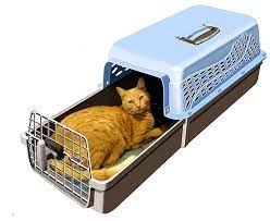 new cat carrier from k kat makes travel