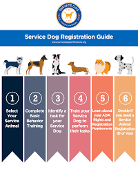 Service dogs for anxiety and depression may complete the following tasks: How Do I Qualify For A Service Dog If I Have Anxiety And Depression Service Dog Certifications