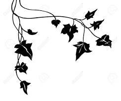 Ivy Vine Silhouette Vector Elegant Black Floral Decorative Border