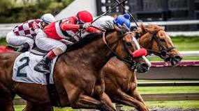 is-horse-racing-cruelty-in-australia