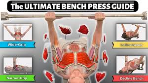 before you bench press understand the