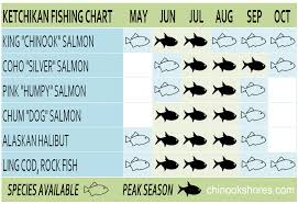 Alaska Fishing Information Chinook Shores Lodge