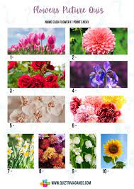 50 flower quiz questions and answers