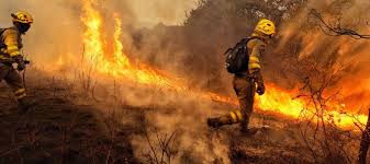 Resultado de imagen de incendios en galicia