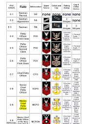 Enlisted Ranks Insignia United States Military A Brief