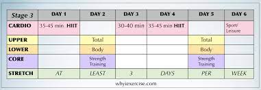 free exercise program workout calendar