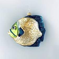 ornament tropical fish yellow