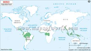 Rainforests are found in the tropics, the region between the tropic of cancer and the tropic of capricorn, just above and below the equator. World Rainforests Map Rainforests Of The World