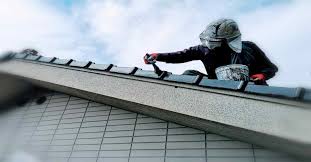 Cool Roof Paint 2023 Starts From