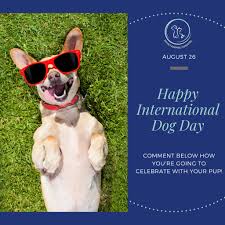 Dogs are blessed with inner and outer beauty which makes them so special and adorable…. Happy International Dog Day Let Us Know Novey Animal Hospital Facebook