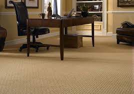 the best carpet best options