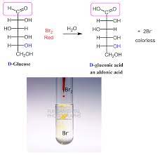 Oxidation of Monosaccharide Carbohydrates - Chemistry Steps