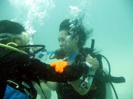scuba diving in pattaya 2023 best