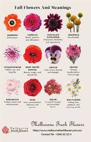 ppt discover most por flowers and