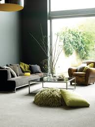 contemporary carpeted living room ideas