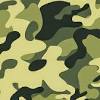 2560x1600 camouflage wallpapers hd / desktop and mobile backgrounds digital camo. 1