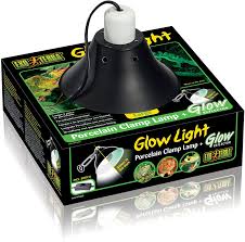 Amazon Com Exo Terra Glow Light Porcelain Clamp Lamp 10 Inch Long Pet Habitat Lights Pet Supplies