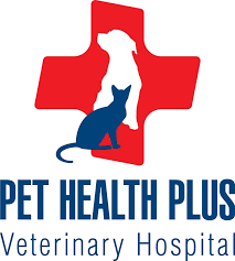 Pets plus us provides pet insurance covering accidents and illness within canada giving you and your pet peace of mind. Pet Insurance Pet Health Plus