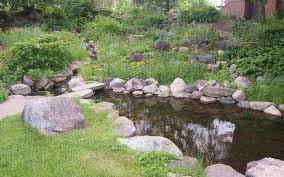 16 Rock Garden Ideas To Create A Sense