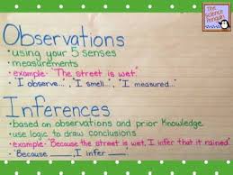 Observations And Inferences Anchor Chart Classroom Decore