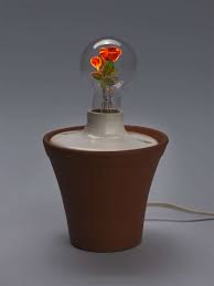 Aerolux Light Bulbs With Floral Filaments Add Beauty To