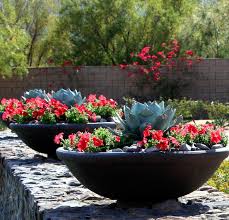 Container Gardening Cactus Garden