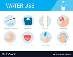 water benefits for body vector image