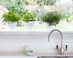 How To Grow Herbs Indoors