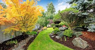 The Cost Of Landscaping In Colorado