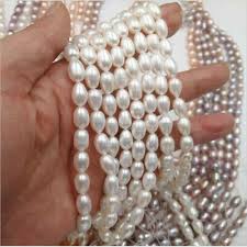 whole natural freshwater pearl