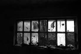 the theory of broken windows criminal
