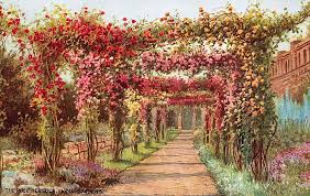 the rose pergola kew gardens by