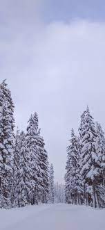 white snow, winter 1242x2688 iPhone ...