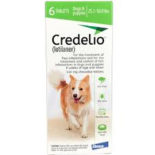 Credelio Chewable Tablet 25 1 50 Lbs 6 Pk