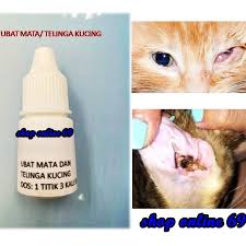 Ubat mata kucing berair, ubat sakit mata kucing, ubat mata kucing neo deca, ubat mata kucing persian, ubat untuk sakit mata kucing, buah tin. Ubat Mata Kucing Berair Red Pastel C