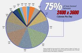 How Many Calories Do I Burn A Day Without Exercising