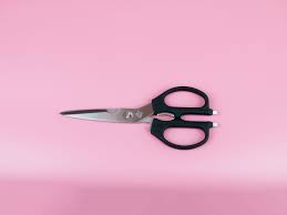 the 3 best kitchen shears of 2024