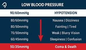 Visual Guide To Low Blood Pressure Daily Trust