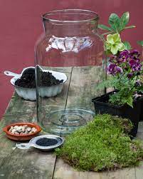 House Home Diy Glass Jar Terrarium