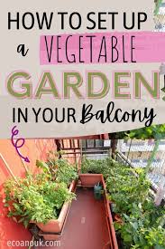 How To Start A Balcony Vegetable Garden